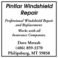 2003 Pintlar Windshield Repair
									<br />
									Page 12
									  ♦  
									2½"W x 5"H<br />
									Colored Cardstock