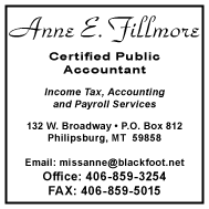 2003-2004 Anne E. Fillmore, CPA
									<br>
									Page 02
									  ♦  
									2½"W x 2½"H<br>
									Colored Cardstock