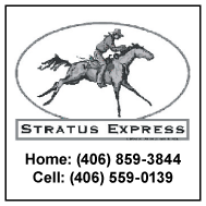 2004 Stratus Express
									<br>
									Page 12
									  ♦  
									2½"W x 2½"H<br>
									Colored Cardstock
