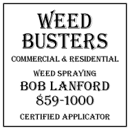 2004 Weed Busters
									<br>
									Page 09
									  ♦  
									2½"W x 2½"H<br>
									Colored Cardstock