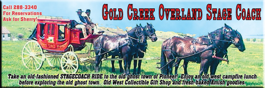 2006 Rocky Mountain Accordion Celebration Program
									<br>
									Page 14
									  ♦  
									7½"W x 2½"H<br>
									50# Book Paper