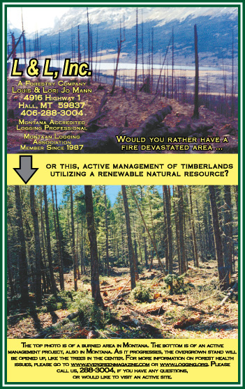 2005 Philipsburg Territory
									<br>
									Page 15
									  ♦  
									4⅞"W x 7¾"H<br>
									30# Newsprint