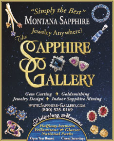 2016 The Sapphire Gallery
									<br>
									Page xx
									  ♦  
									3¼"W x 4"H<br>
									38# Hi-Brite Newsprint