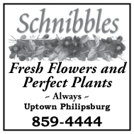 2003-2004 Schnibbles
									<br>
									Page 08 respectively
									  ♦  
									2½"W x 2½"H<br>
									Colored Cardstock