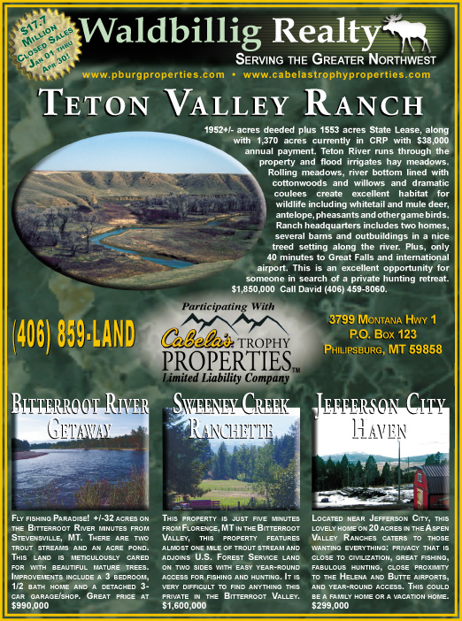 May 2006 Waldbillig Realty
									<br>
									Page 04
									  ♦  
									7¼"W x 9¾"H<br>
									100# Coated Text Stock