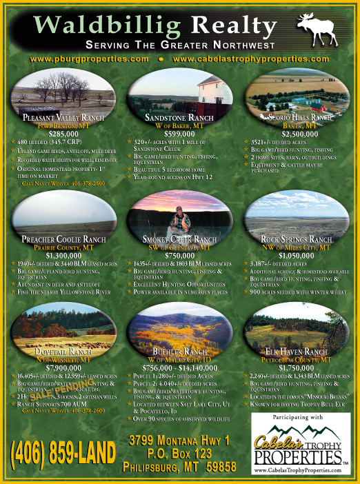 February 2007 Waldbillig Realty
									<br>
									Page 04
									  ♦  
									7¼"W x 9¾"H<br>
									100# Coated Text Stock