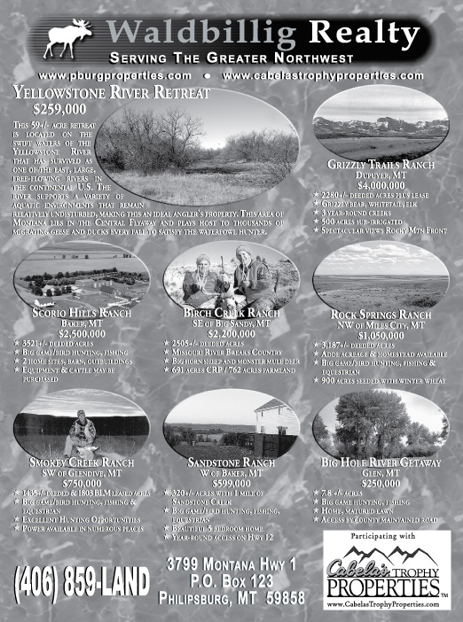 April 2007 Waldbillig Realty
									<br>
									Page 07
									  ♦  
									7¼"W x 9¾"H<br>
									100# Coated Text Stock
