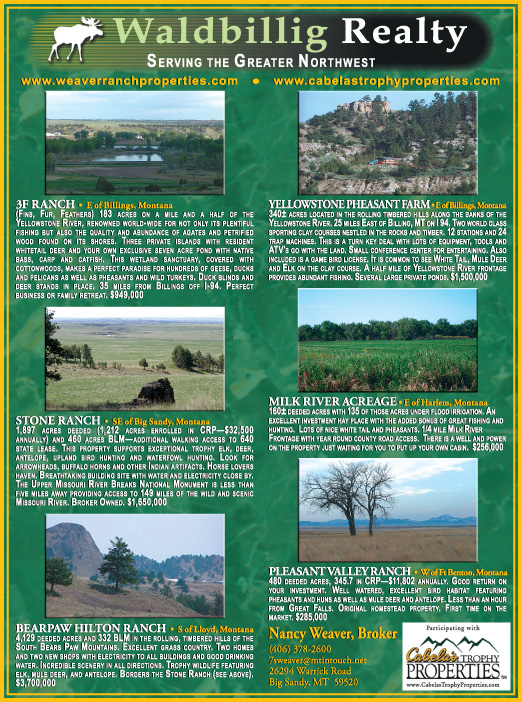 June 2007 Waldbillig Realty
									<br>
									Page 06
									  ♦  
									7¼"W x 9¾"H<br>
									100# Coated Text Stock