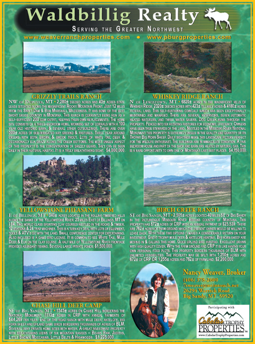 August 2007 Waldbillig Realty
									<br>
									Page 07
									  ♦  
									7¼"W x 9¾"H<br>
									100# Coated Text Stock