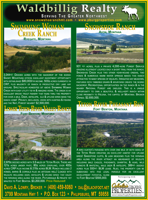 October 2007 Waldbillig Realty
									<br>
									Page 05
									  ♦  
									7¼"W x 9¾"H<br>
									100# Coated Text Stock