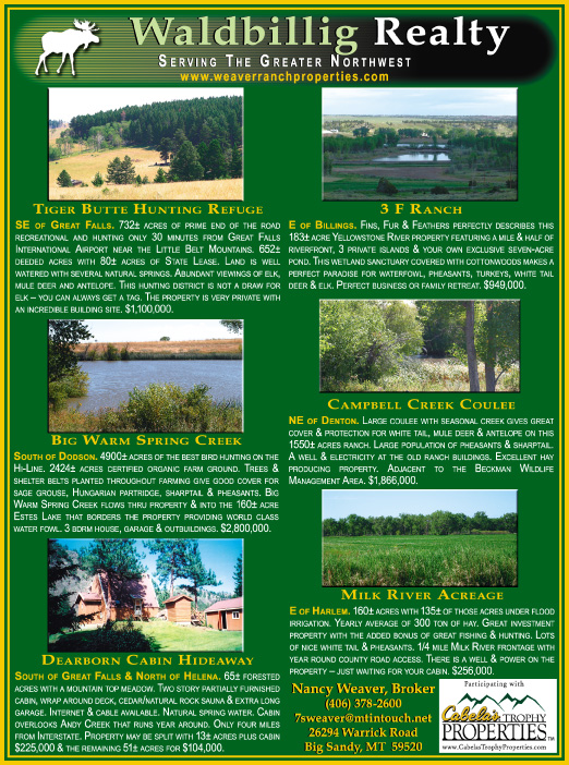 October 2007 Waldbillig Realty
									<br>
									Page 06
									  ♦  
									7¼"W x 9¾"H<br>
									100# Coated Text Stock