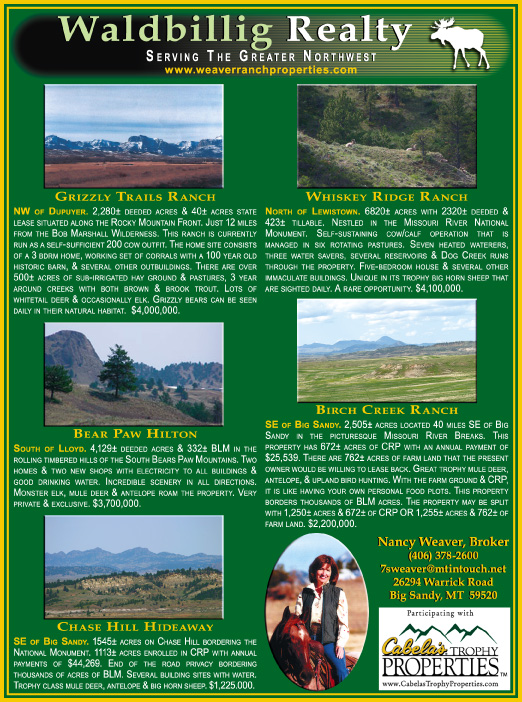 October 2007 Waldbillig Realty
									<br>
									Page 07
									  ♦  
									7¼"W x 9¾"H<br>
									100# Coated Text Stock