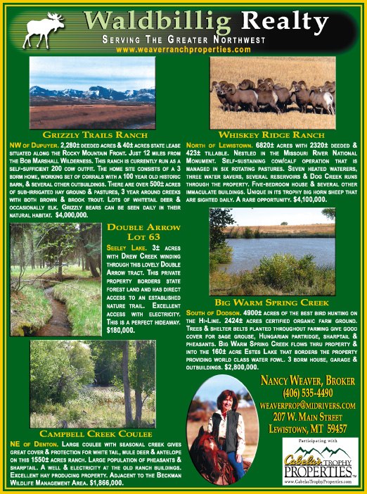 December 2007 Waldbillig Realty
									<br>
									Page 06
									  ♦  
									7¼"W x 9¾"H<br>
									100# Coated Text Stock