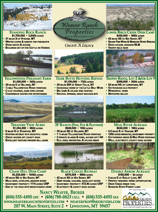February 2008 Weaver Ranch Properties
									<br>
									Page 06
									  ♦  
									7¼"W x 9¾"H<br>
									100# Coated Text Stock