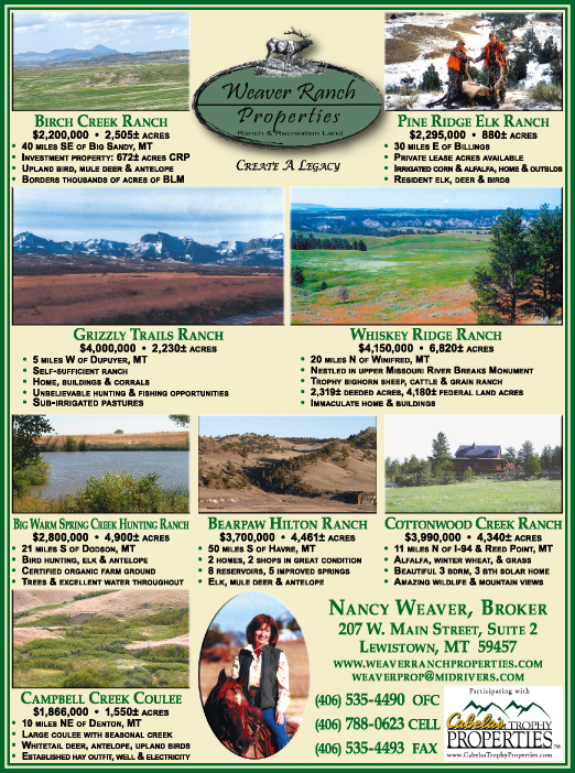 February 2008 Weaver Ranch Properties
									<br>
									Page 07
									  ♦  
									7¼"W x 9¾"H<br>
									100# Coated Text Stock
