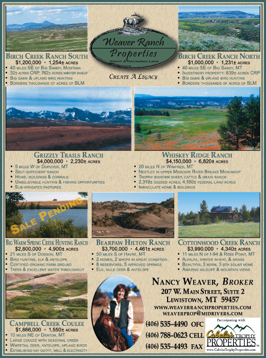 April 2008 Weaver Ranch Properties
									<br>
									Page 06
									  ♦  
									7¼"W x 9¾"H<br>
									100# Coated Text Stock
