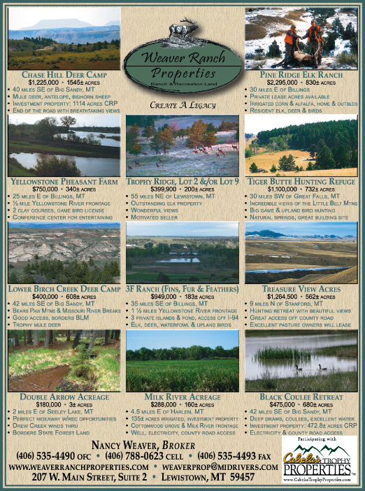 April 2008 Weaver Ranch Properties
									<br>
									Page 07
									  ♦  
									7¼"W x 9¾"H<br>
									100# Coated Text Stock