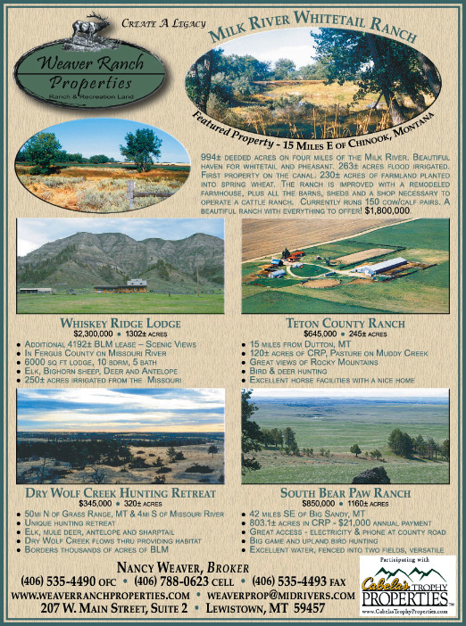 April 2008 Weaver Ranch Properties
									<br>
									Page 08
									  ♦  
									7¼"W x 9¾"H<br>
									100# Coated Text Stock