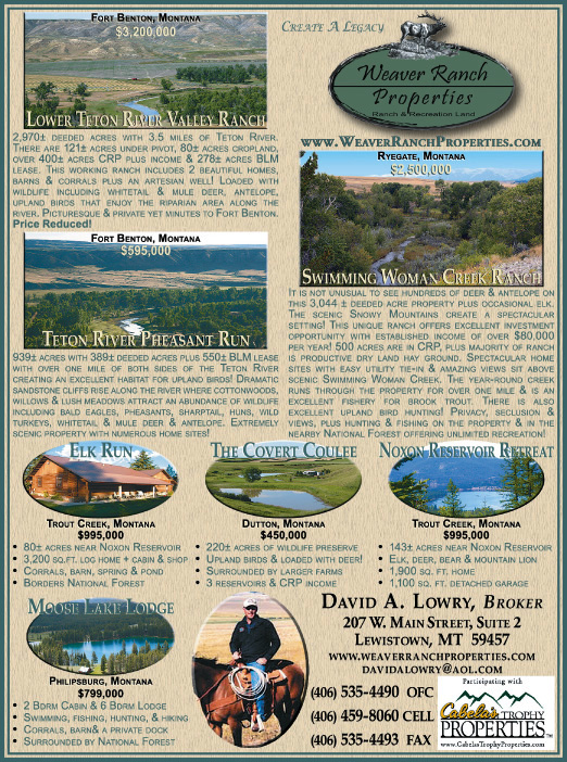 April 2008 Weaver Ranch Properties
									<br>
									Page 09
									  ♦  
									7¼"W x 9¾"H<br>
									100# Coated Text Stock
