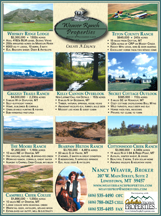 June 2008 Weaver Ranch Properties
									<br>
									Page 06
									  ♦  
									7¼"W x 9¾"H<br>
									100# Coated Text Stock