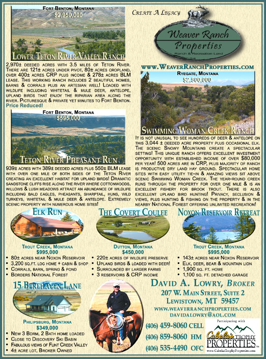 June 2008 Weaver Ranch Properties
									<br>
									Page 07
									  ♦  
									7¼"W x 9¾"H<br>
									100# Coated Text Stock