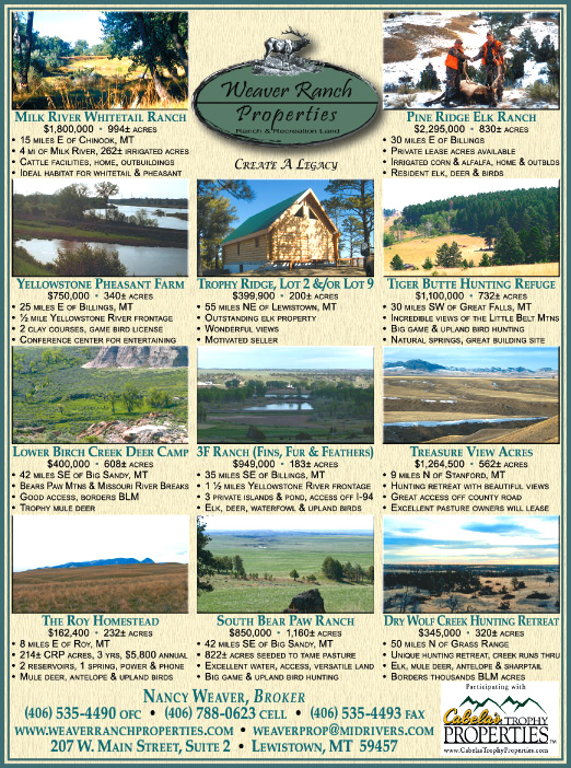 June 2008 Weaver Ranch Properties
									<br>
									Page 07
									  ♦  
									7¼"W x 9¾"H<br>
									100# Coated Text Stock