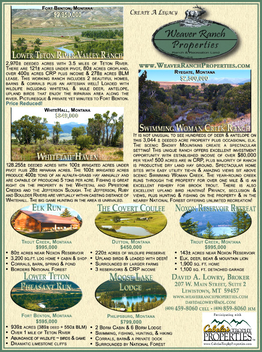 August 2008 Weaver Ranch Properties
									<br>
									Page 07
									  ♦  
									7¼"W x 9¾"H<br>
									100# Coated Text Stock