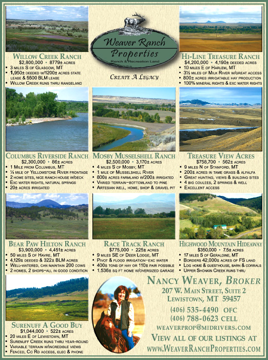 October 2008 Weaver Ranch Properties
									<br>
									Page 06
									  ♦  
									7¼"W x 9¾"H<br>
									100# Coated Text Stock