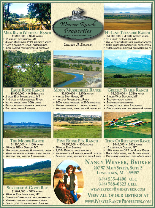 December 2008 Weaver Ranch Properties
									<br>
									Page 06
									  ♦  
									7¼"W x 9¾"H<br>
									100# Coated Text Stock