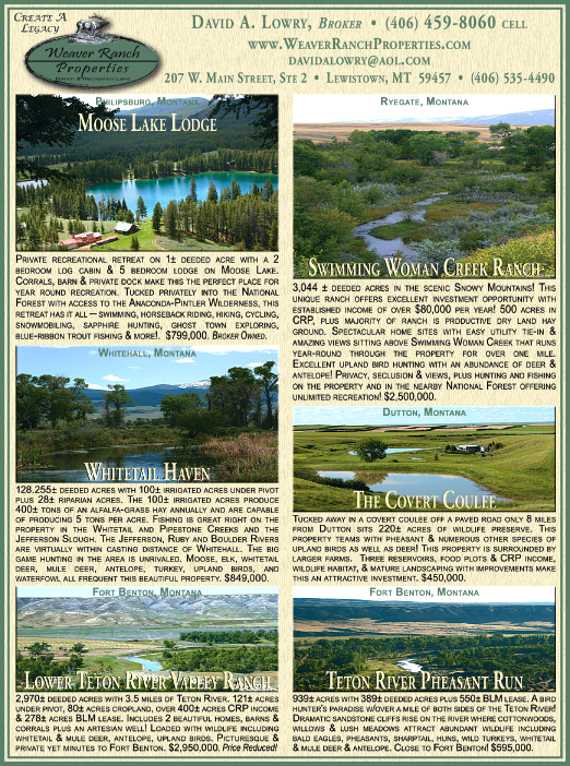 December 2008 Weaver Ranch Properties
									<br>
									Page 07
									  ♦  
									7¼"W x 9¾"H<br>
									100# Coated Text Stock