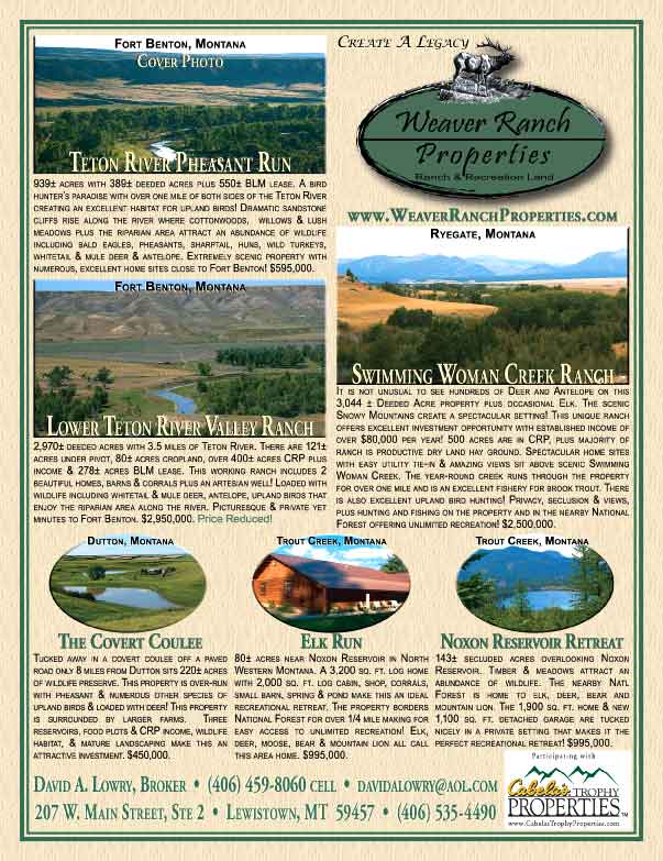 July 2008 Western Livestock Journal Properties Magazine
									<br>
									Page 02
									  ♦  
									8⅜"W x 10⅞"H<br>
									100# Coated Text Stock