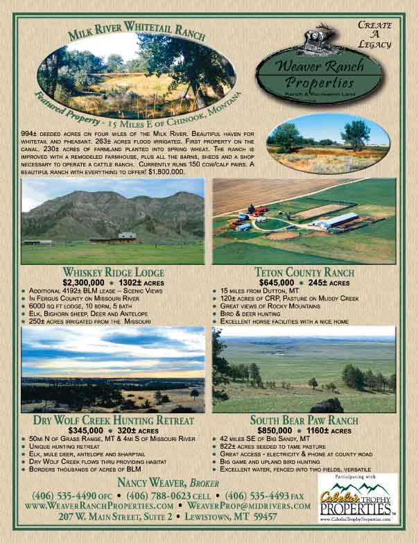 July 2008 Western Livestock Journal Properties Magazine
									<br>
									Page 03
									  ♦  
									8⅜"W x 10⅞"H<br>
									100# Coated Text Stock