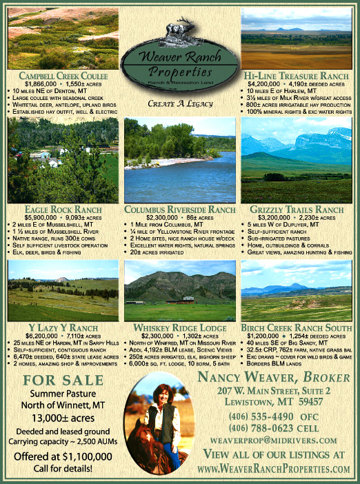 February 2009 Weaver Ranch Properties
									<br>
									Page 06
									  ♦  
									7¼"W x 9¾"H<br>
									100# Coated Text Stock