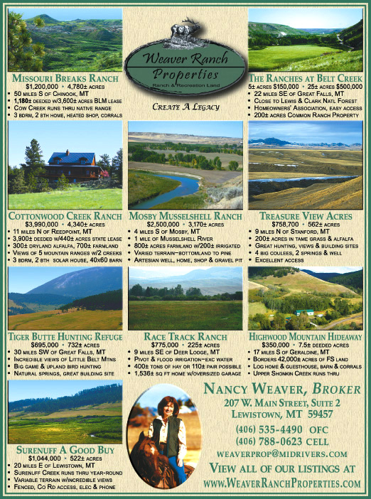 April 2009 Weaver Ranch Properties
									<br>
									Page 06
									  ♦  
									7¼"W x 9¾"H<br>
									100# Coated Text Stock