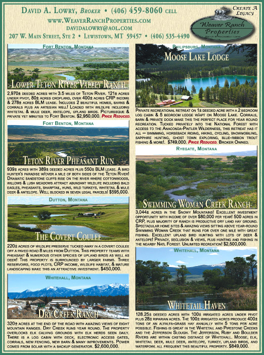 April 2009 Weaver Ranch Properties
									<br>
									Page 07
									  ♦  
									7¼"W x 9¾"H<br>
									100# Coated Text Stock