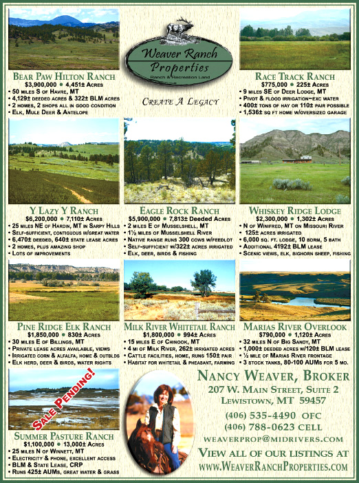 June 2009 Weaver Ranch Properties
									<br>
									Page 06
									  ♦  
									7¼"W x 9¾"H<br>
									100# Coated Text Stock