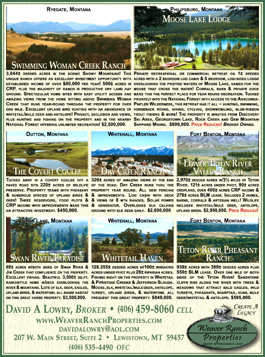 June 2009 Weaver Ranch Properties
									<br>
									Page 07
									  ♦  
									7¼"W x 9¾"H<br>
									100# Coated Text Stock