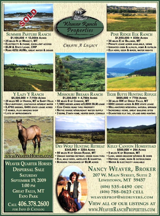 August 2009 Weaver Ranch Properties
									<br>
									Page 06
									  ♦  
									7¼"W x 9¾"H<br>
									100# Coated Text Stock