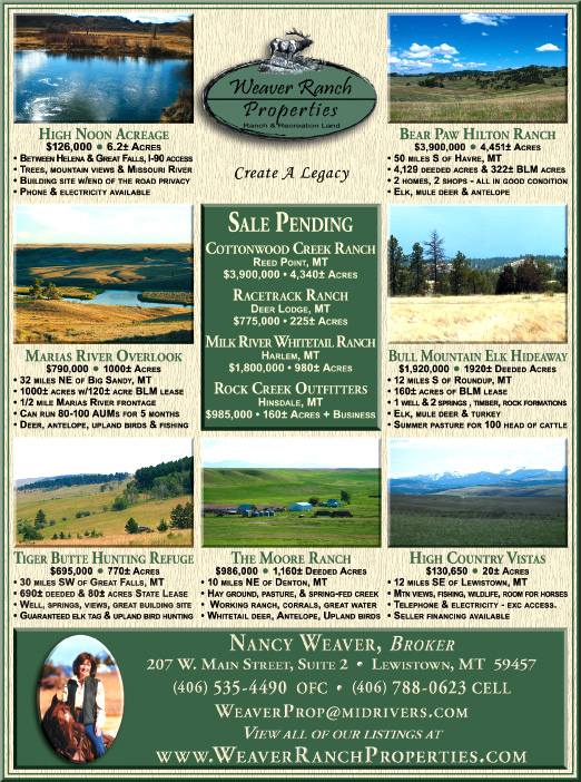 December 2009 Weaver Ranch Properties
									<br>
									Page 06
									  ♦  
									7¼"W x 9¾"H<br>
									100# Coated Text Stock