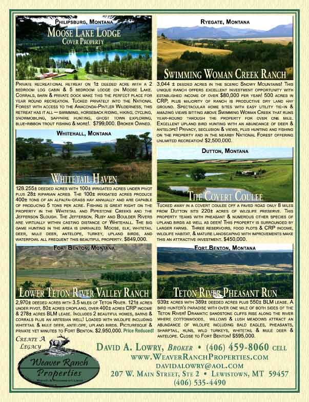 January 2009 Western Livestock Journal Properties Magazine
									<br>
									Page 02
									  ♦  
									8⅜"W x 10⅞"H<br>
									100# Coated Text Stock