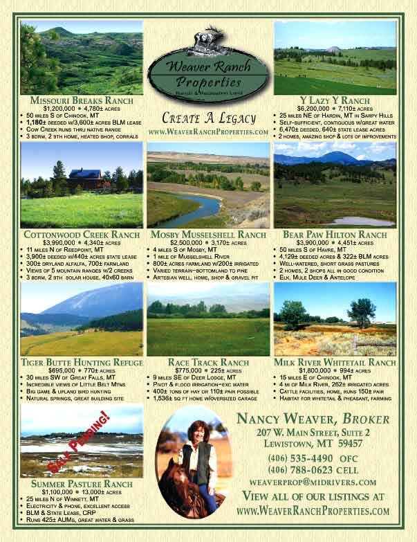 July 2009 Western Livestock Journal Properties Magazine
									<br>
									Page 03
									  ♦  
									8⅜"W x 10⅞"H<br>
									100# Coated Text Stock