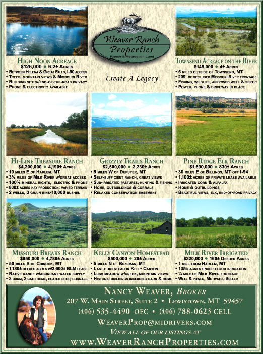 February 2010 Weaver Ranch Properties
									<br>
									Page 06
									  ♦  
									7¼"W x 9¾"H<br>
									100# Coated Text Stock
