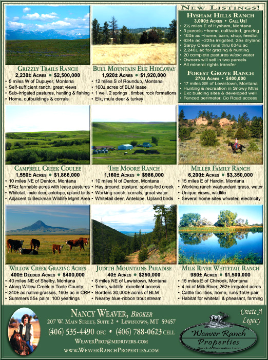 June 2010 Weaver Ranch Properties
									<br>
									Page 06
									  ♦  
									7¼"W x 9¾"H<br>
									100# Coated Text Stock